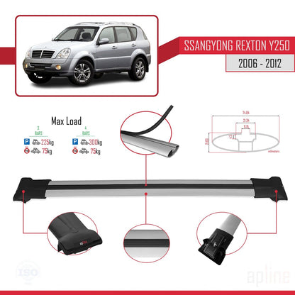 Compatible avec Ssangyong Rexton (Y250) 2006-2012 FLY Model Barres de Toit Railing Porte-Bagages de Voiture Gris Aluminium 3 Barres